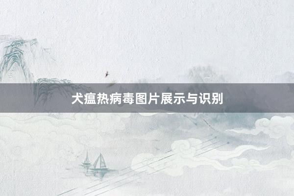 犬瘟热病毒图片展示与识别
